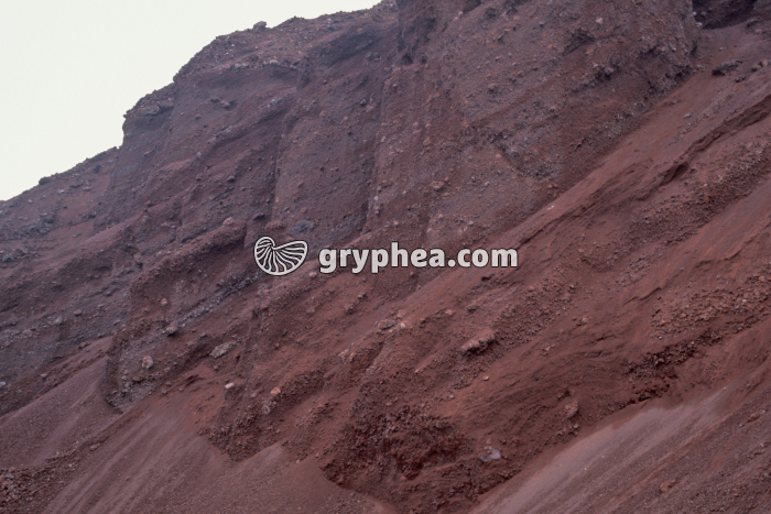 Scories Puy de la Toupe - gryphea.com